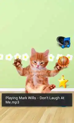 Play Tickle Talking Cat Play Tickle Talking Cat