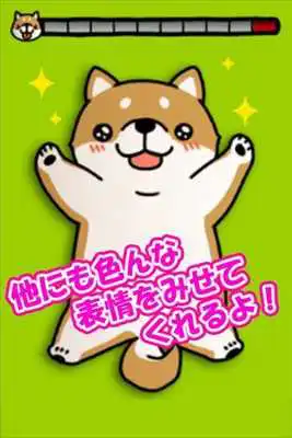 Play Tickling dog