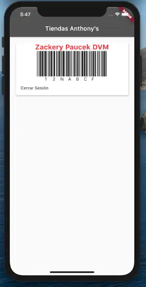 Play Tiendas Anthonys as an online game Tiendas Anthonys with UptoPlay