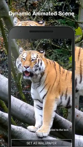 Play Tiger 3d Live Wallpaper Pro as an online game Tiger 3d Live Wallpaper Pro with UptoPlay