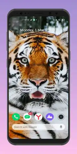 Play Tiger 4k wallpaper  and enjoy Tiger 4k wallpaper with UptoPlay