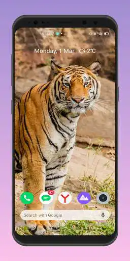 Play Tiger 4k wallpaper as an online game Tiger 4k wallpaper with UptoPlay