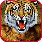 Free play online Tiger and animals Photo Frame APK