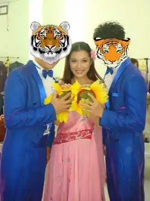 Play Tiger and animals Photo Frame