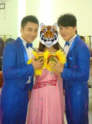 Play Tiger and animals Photo Frame