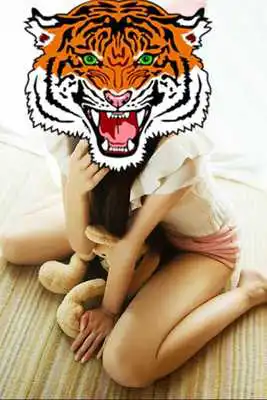 Play Tiger and animals Photo Frame