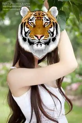 Play Tiger and animals Photo Frame