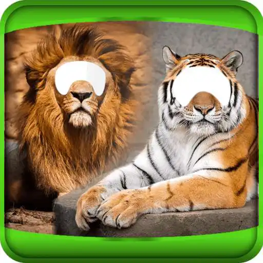 Free play online Tiger And Lion Photo Montage APK Free play online Tiger And Lion Photo Montage APK