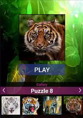Play Tiger Bells Puzzles Game