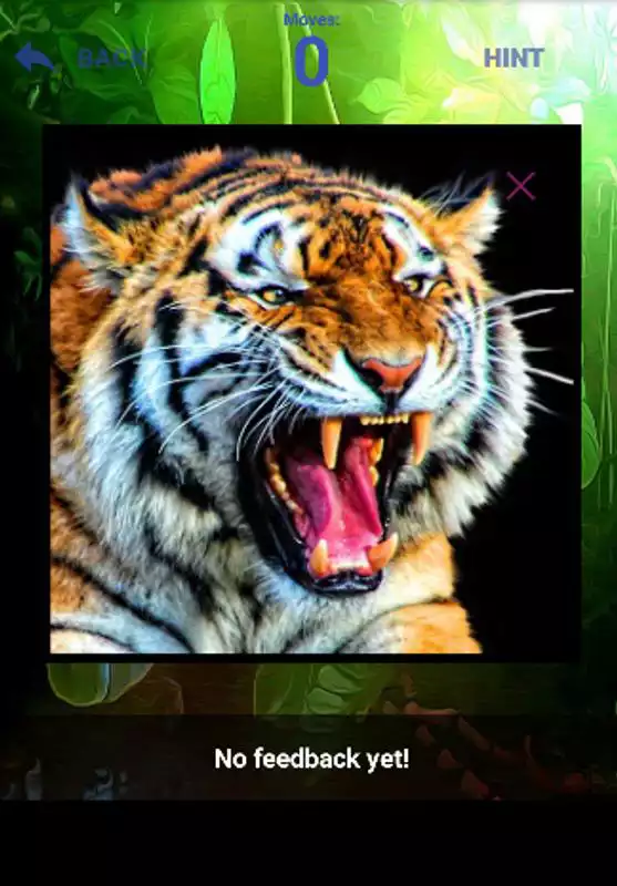Play Tiger Bells Puzzles Game