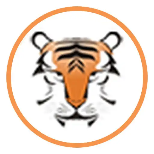 Play Tiger Brothers Agent App APK Play Tiger Brothers Agent App APK