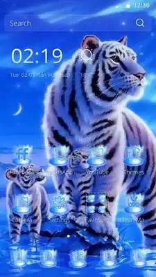 Play Tiger family