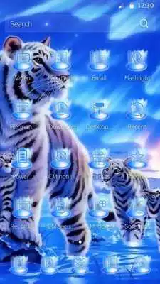 Play Tiger family