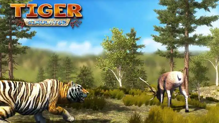 Play TIGER GAMES - HUNTING SAFARI