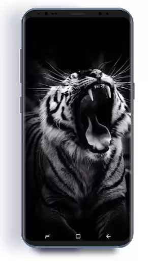 Play Tiger Hd Wallpapers as an online game Tiger Hd Wallpapers with UptoPlay