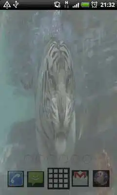 Play Tiger In Water Live Wallpaper