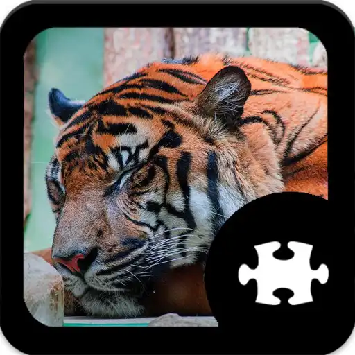 Free play online Tiger Jigsaw Puzzle APK