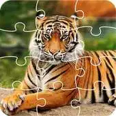 Free play online Tiger Jigsaw Puzzle King APK Free play online Tiger Jigsaw Puzzle King APK