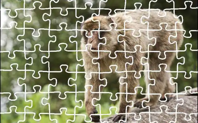 Play Tiger Jigsaw Puzzle King
