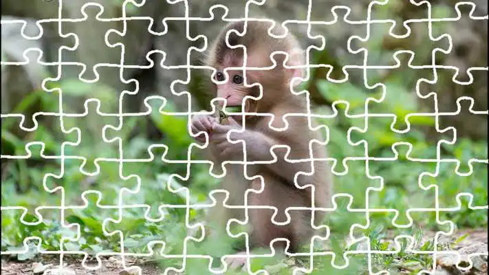 Play Tiger Jigsaw Puzzle King