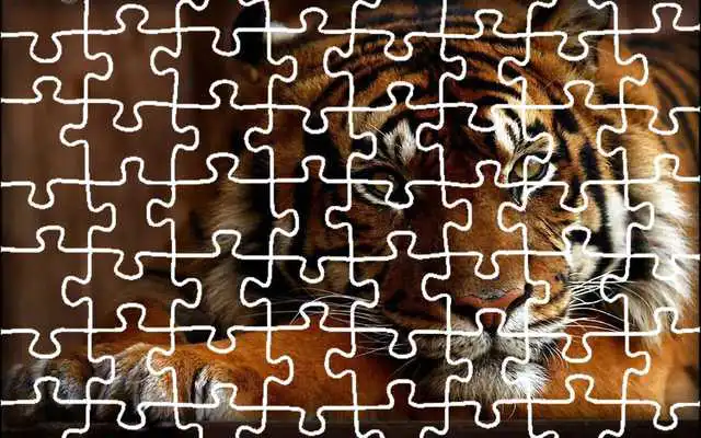 Play Tiger Jigsaw Puzzle King