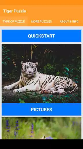 Play Tiger Jigsaw Puzzle