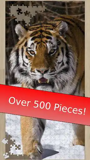 Play Tiger Jigsaw Puzzles HD - Big Cat Jigsaws and enjoy Tiger Jigsaw Puzzles HD - Big Cat Jigsaws with UptoPlay Play Tiger Jigsaw Puzzles HD - Big Cat Jigsaws and enjoy Tiger Jigsaw Puzzles HD - Big Cat Jigsaws with UptoPlay