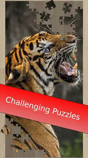 Play Tiger Jigsaw Puzzles HD - Big Cat Jigsaws as an online game online Tiger Jigsaw Puzzles HD - Big Cat Jigsaws with UptoPlay com.zillionjigsaw.tiger Play Tiger Jigsaw Puzzles HD - Big Cat Jigsaws as an online game Tiger Jigsaw Puzzles HD - Big Cat Jigsaws with UptoPlay