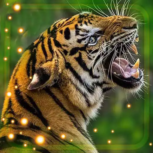 Play Tiger Live Wallpaper APK Play Tiger Live Wallpaper APK
