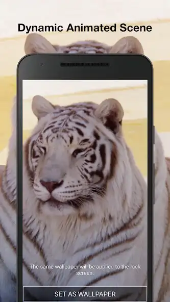 Play Tiger Live Wallpaper Pro as an online game Tiger Live Wallpaper Pro with UptoPlay