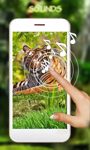 Play Tiger Live Wallpaper  and enjoy Tiger Live Wallpaper with UptoPlay