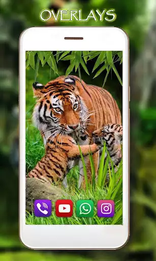 Play Tiger Live Wallpaper as an online game Tiger Live Wallpaper with UptoPlay
