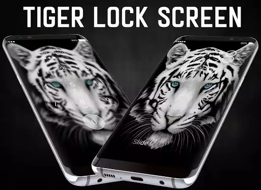 Play Tiger lock screen.