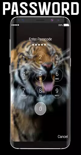 Play Tiger lock screen.