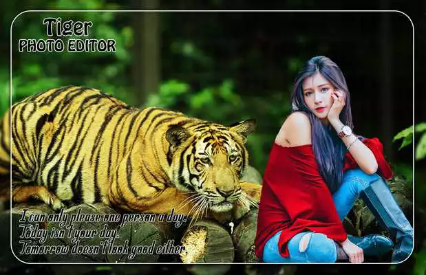 Play Tiger Photo Editor Play Tiger Photo Editor