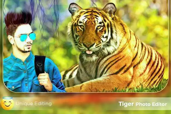 Play Tiger Photo Frames / Tiger Photo Editor