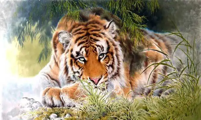 Play Tiger Puzzle