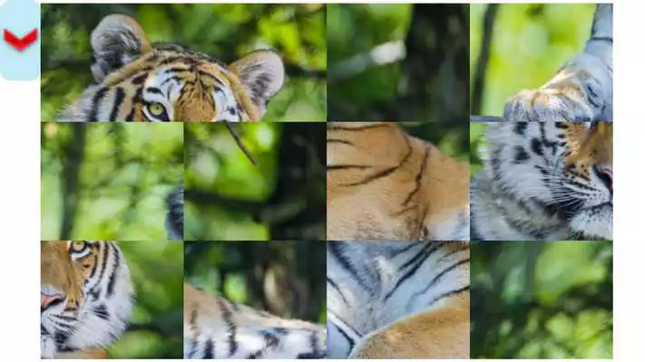 Play Tiger Puzzles.