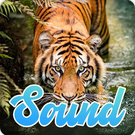 Play Tiger Roar Sounds Effect APK