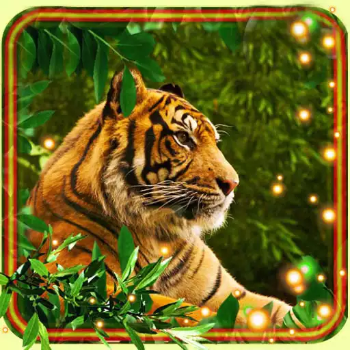 Run free android online Tigers Live Wallpaper APK Run free android online Tigers Live Wallpaper APK