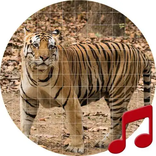 Run free android online Tiger Sounds ~ Sboard.pro APK