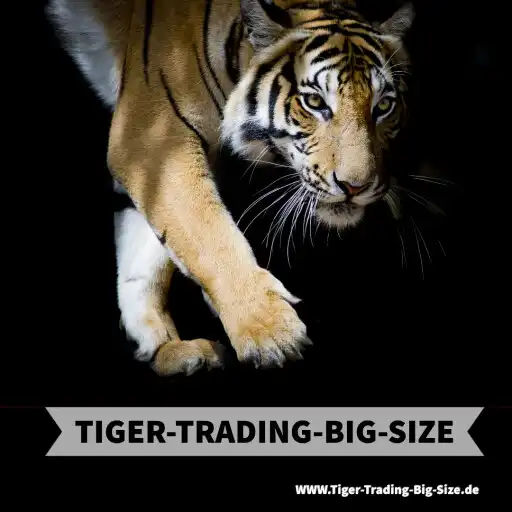 Play Tiger-Trading-Big-Size App APK