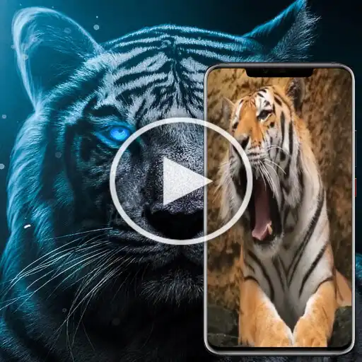 Play Tiger Videos Live Wallpaper 4k APK Play Tiger Videos Live Wallpaper 4k APK