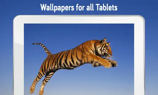 Play Tiger Wallpaper 4K  and enjoy Tiger Wallpaper 4K with UptoPlay
