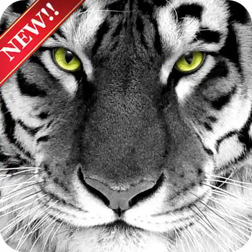 Free play online Tiger Wallpaper HD Free APK Free play online Tiger Wallpaper HD Free APK