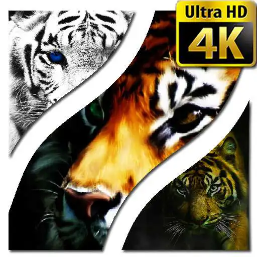 Free play online Tiger Wallpapers 4K UHD APK