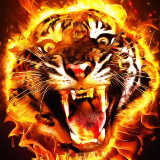 Play Tiger Wallpapers HD 4K APK Play Tiger Wallpapers HD 4K APK