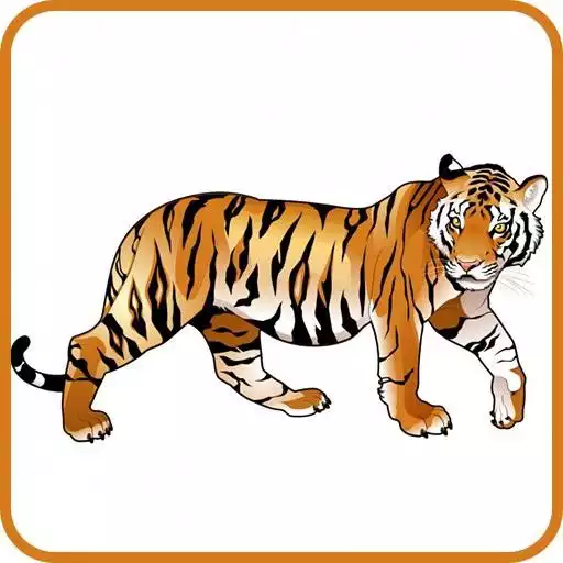 Play Tiger Wallpapers APK Play Tiger Wallpapers APK