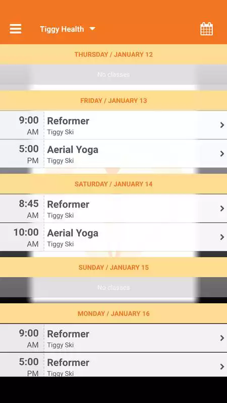Play Tiggy Health