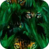 Free play online Tigres Live Wallpaper APK